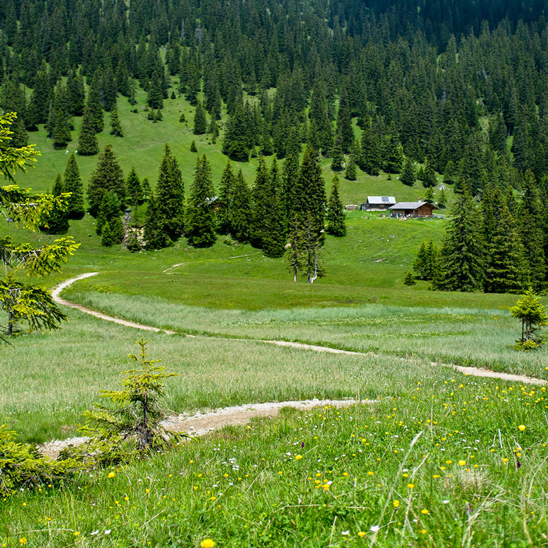 Enningtour Enningtour